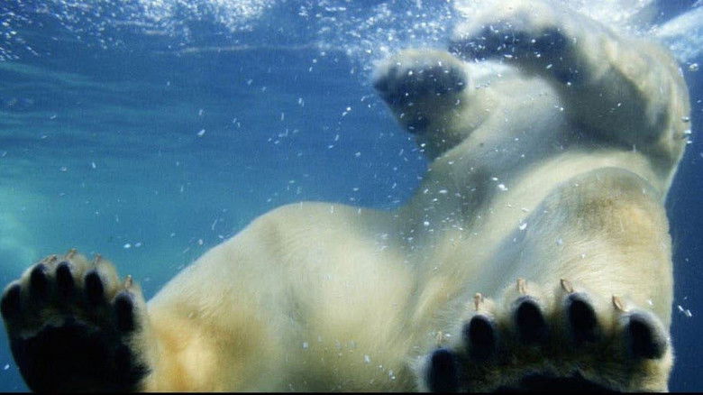 кадр из фильма Земля