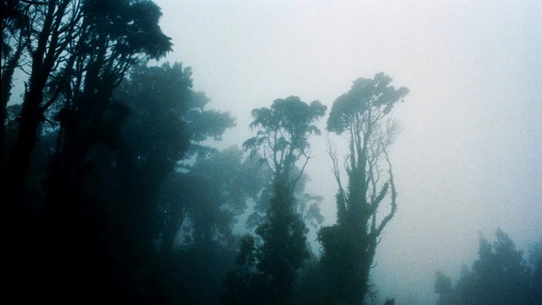 кадр из фильма Frágil Como o Mundo