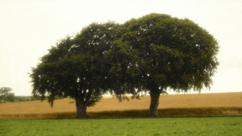 кадр из фильма Seer