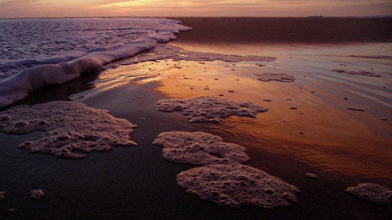 кадр из фильма Между нами музыка