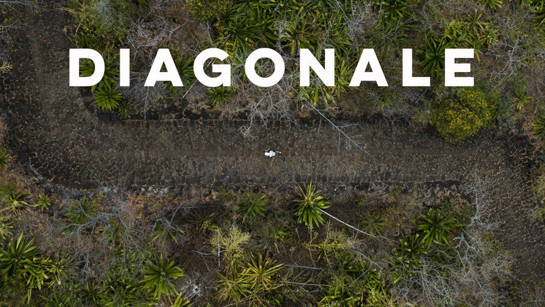 кадр из фильма Diagonale