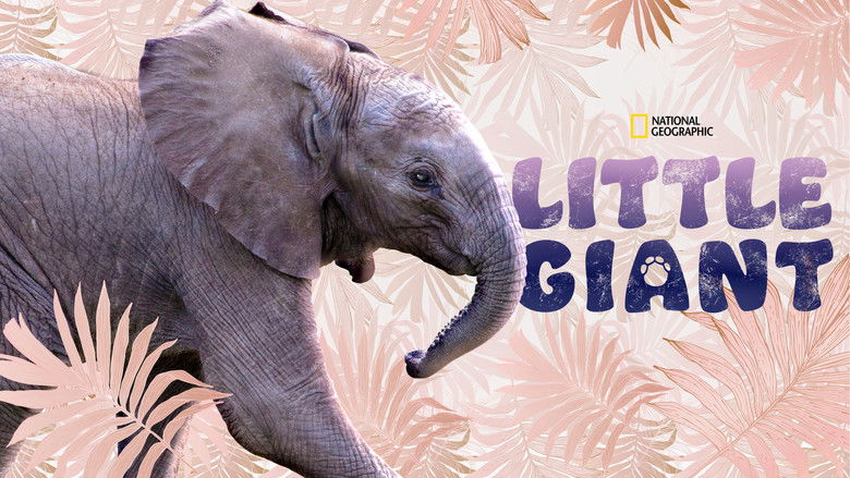 кадр из фильма Little Giant