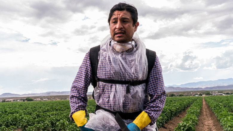 кадр из фильма В клетке