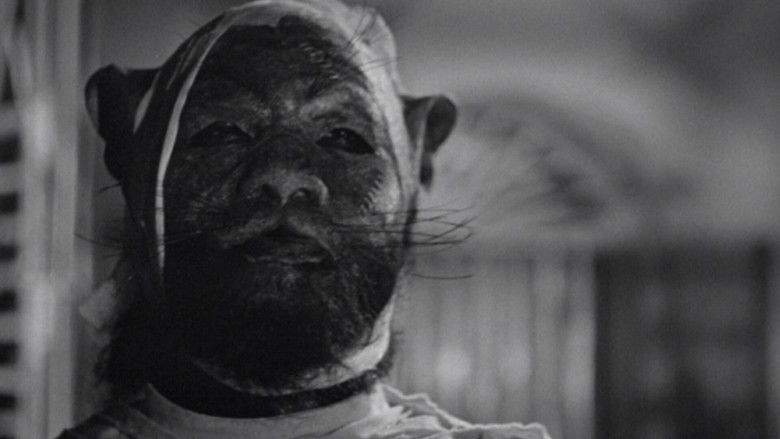 кадр из фильма Terror Is a Man