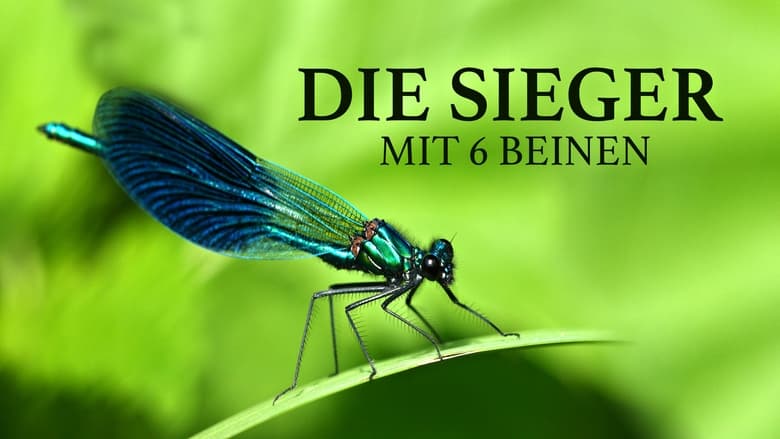 кадр из фильма Die Sieger mit 6 Beinen