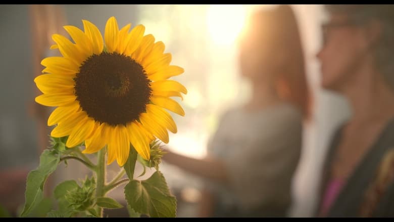 кадр из фильма Sunflower