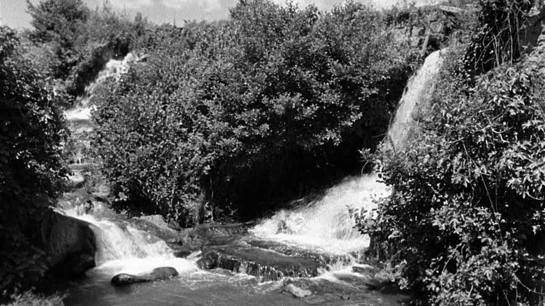 кадр из фильма Франциск, менестрель Божий