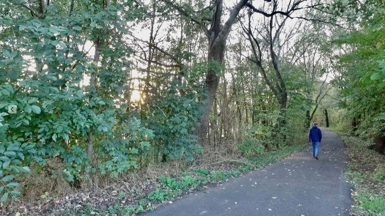 кадр из фильма Statusbericht