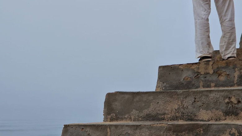 кадр из фильма Colibris