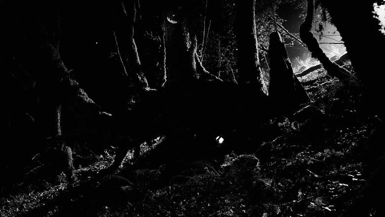 кадр из фильма Lorsque la Nuit Tombe