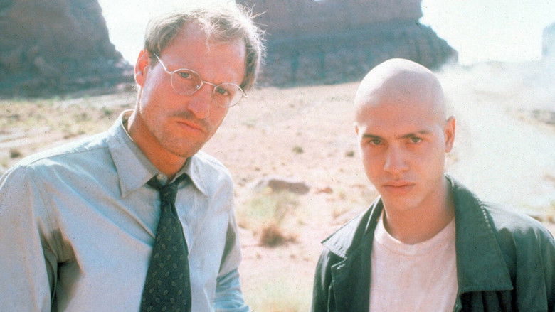 кадр из фильма Ловец солнца