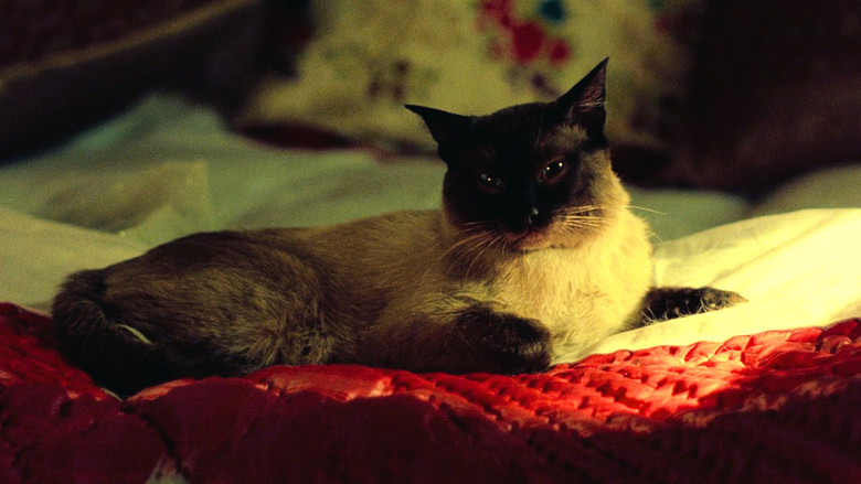 кадр из фильма شطرنج باد