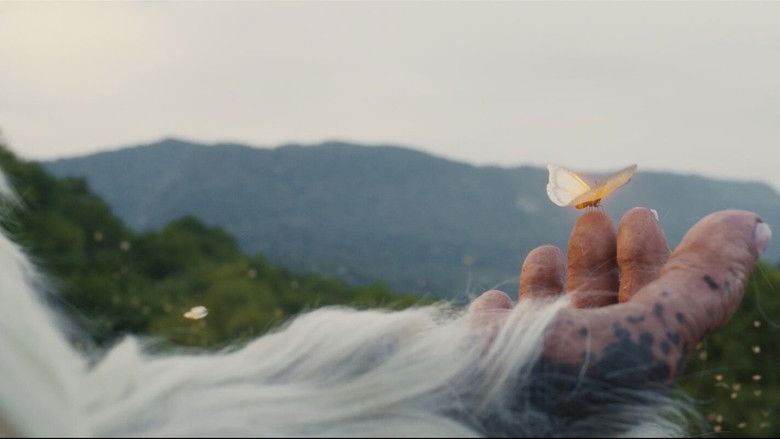 кадр из фильма сНежный человек