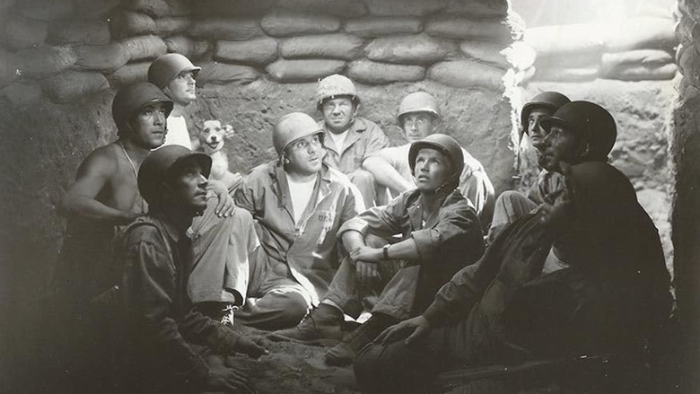 кадр из фильма Guadalcanal Diary