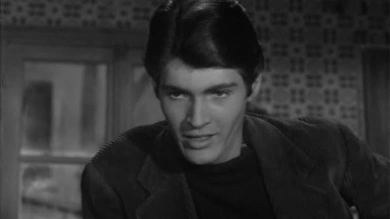 кадр из фильма Terrain vague