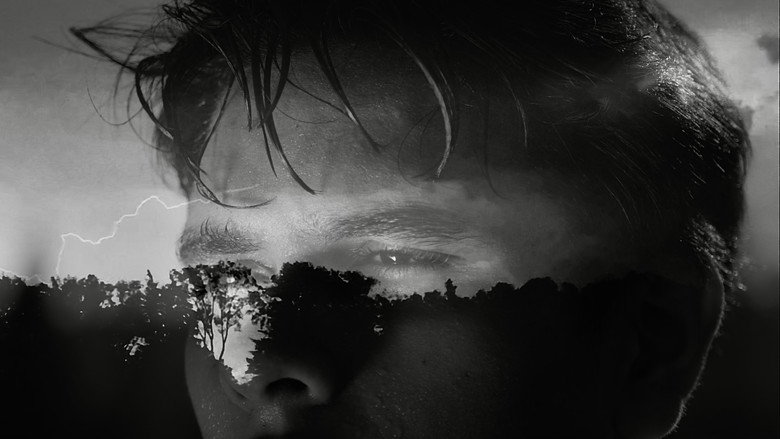 кадр из фильма A Voyeurs Body