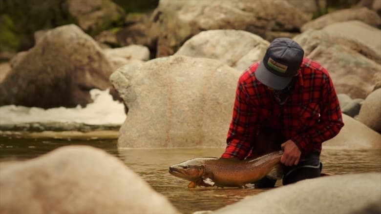 кадр из фильма Only the River Knows