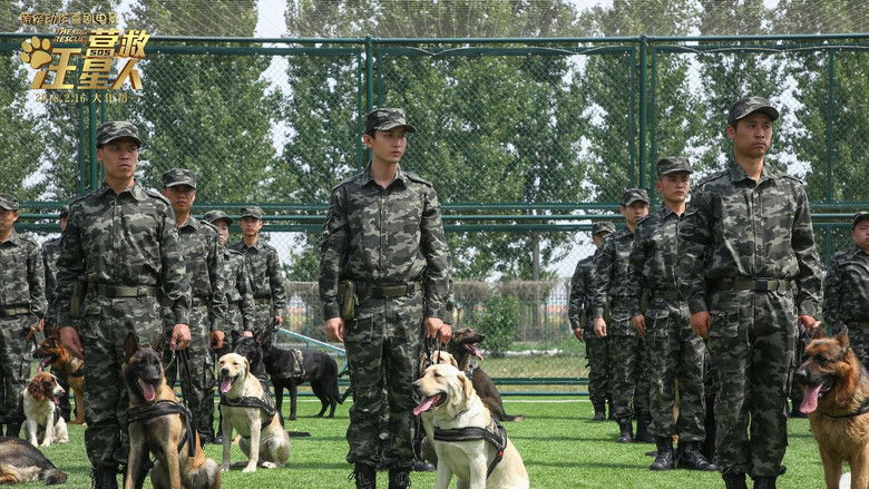 кадр из фильма 营救汪星人