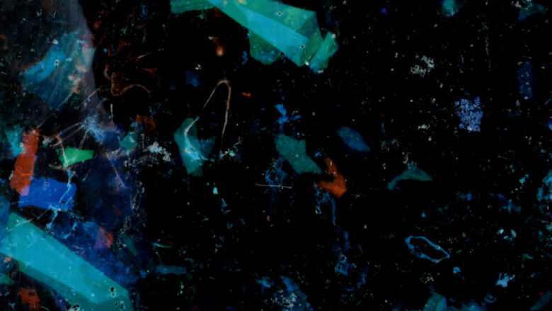 кадр из фильма underneath it flickers