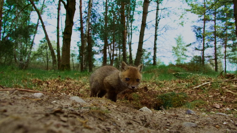 кадр из фильма Onze Natuur, De Film