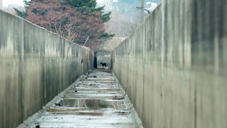 кадр из фильма 생츄어리