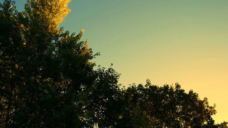 кадр из фильма The Funeral