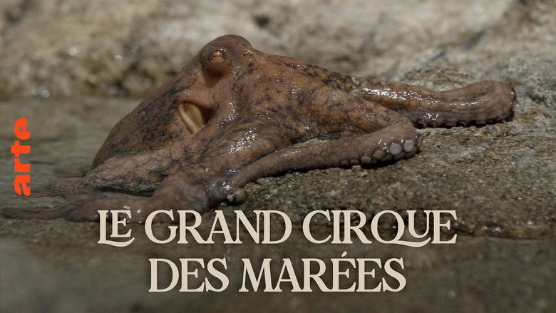 кадр из фильма Le grand cirque des marées