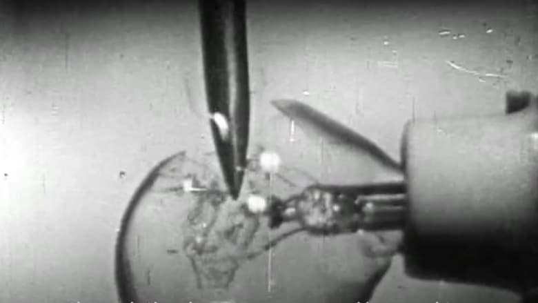 кадр из фильма Репортаж