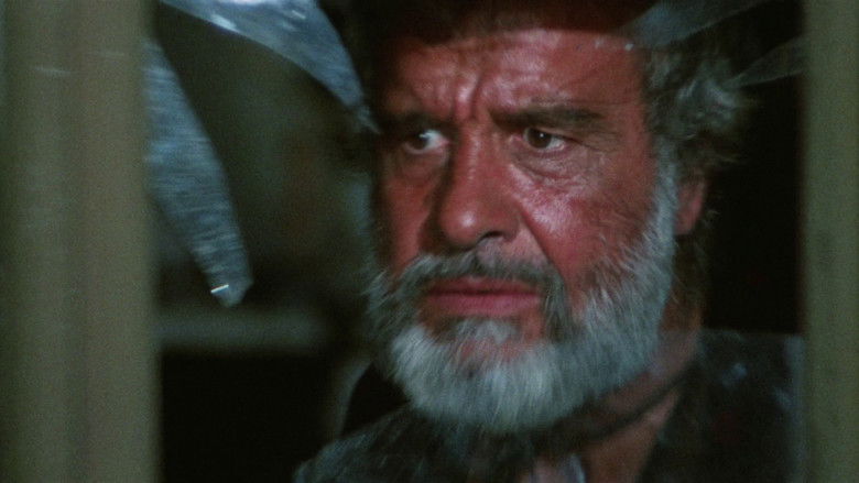 кадр из фильма Стальной кулак Джанго