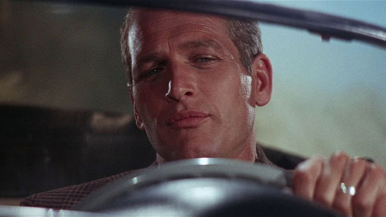 кадр из фильма Харпер