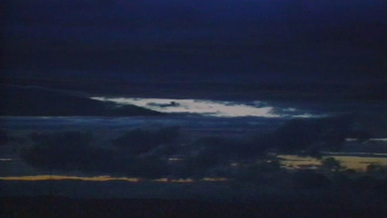 кадр из фильма 火垂