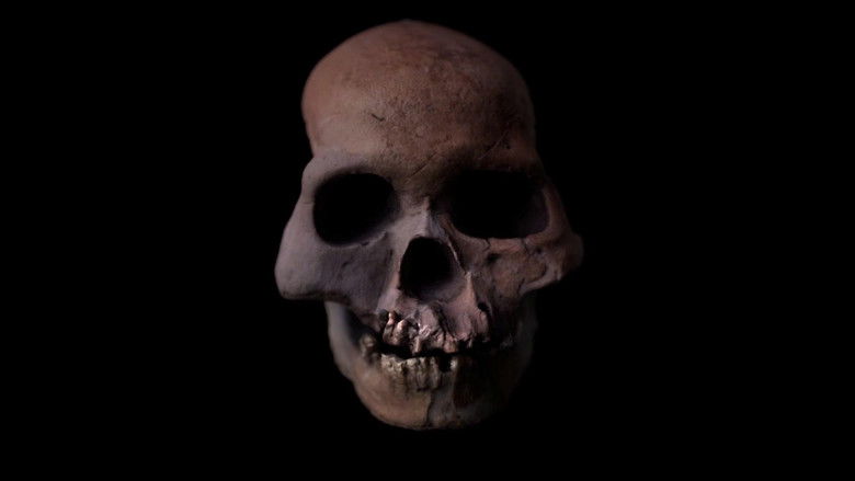 кадр из фильма Enigma Man: A Stone Age Mystery