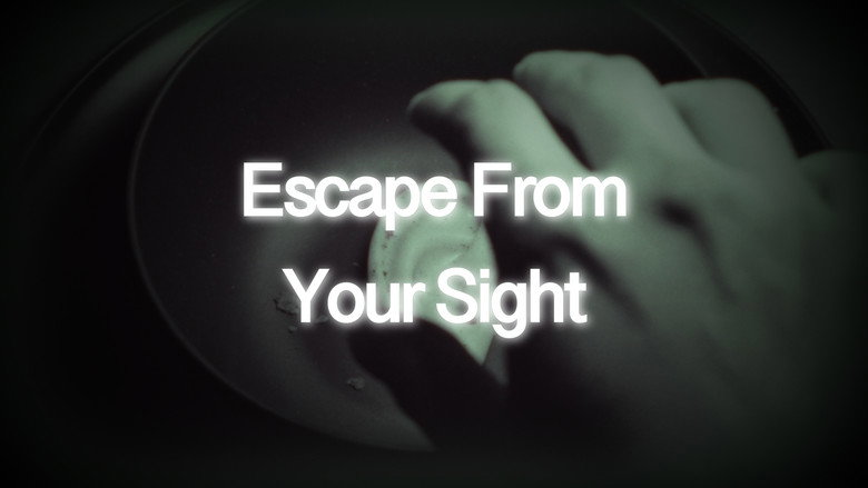 кадр из фильма Escape From Your Sight