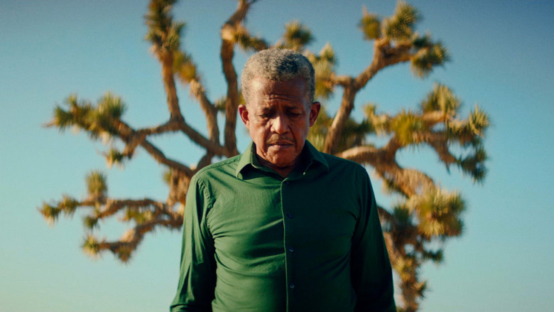 кадр из фильма Panorama