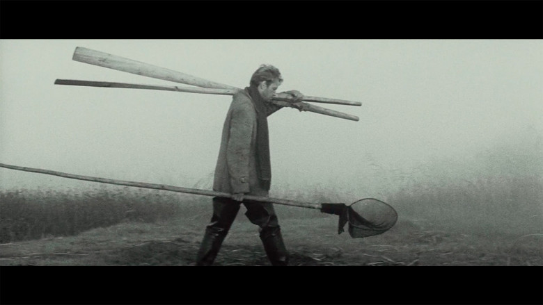 кадр из фильма Чувства