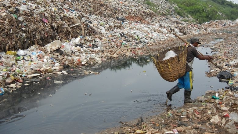 кадр из фильма Bag It