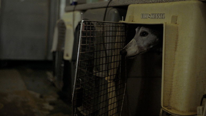 кадр из фильма Going to the Dogs