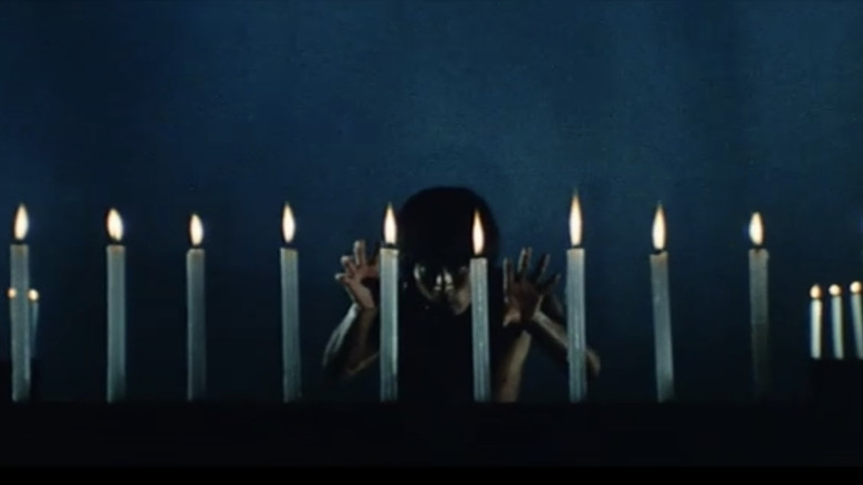 кадр из фильма 武闘拳　猛虎激殺！