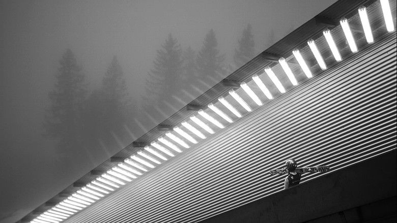 кадр из фильма Noriaki