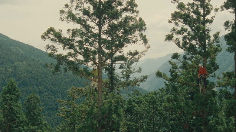 кадр из фильма Работа с древесиной!