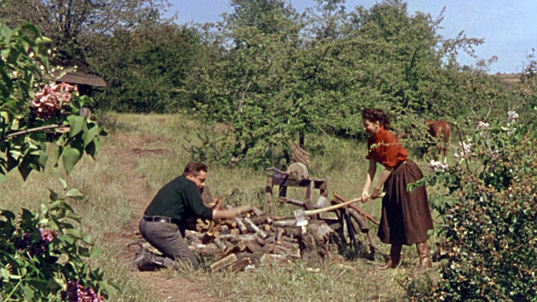 кадр из фильма Silver City