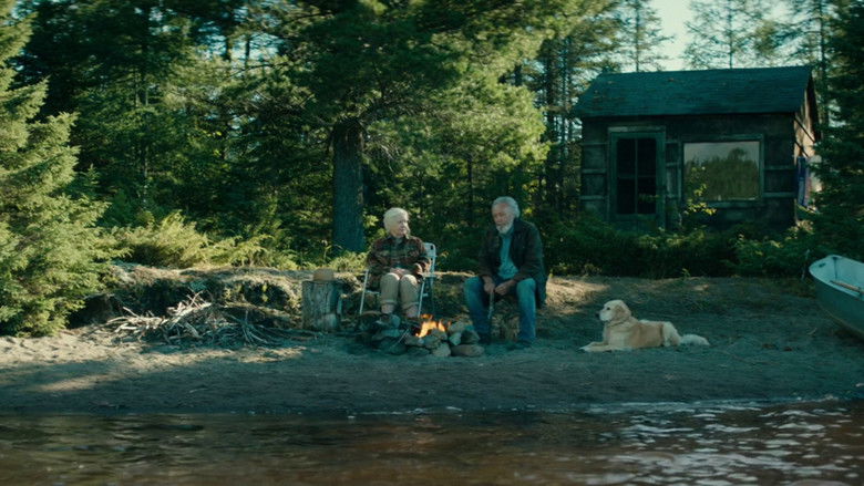 кадр из фильма Птицы падали дождем