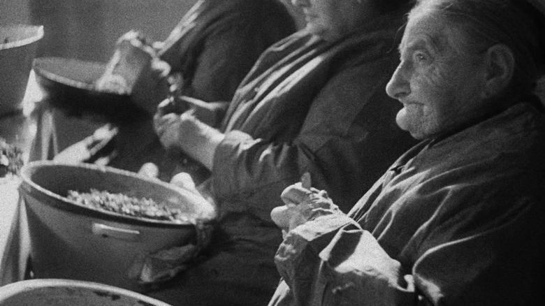 кадр из фильма Nesjomme