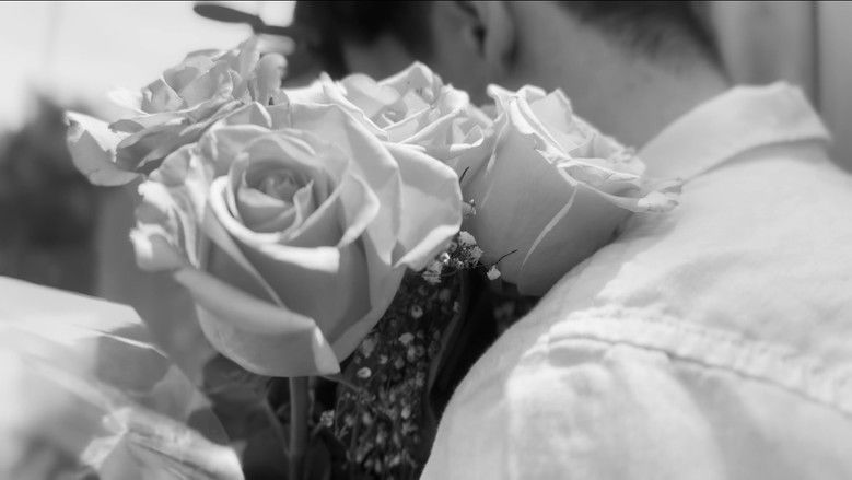 кадр из фильма No Romance