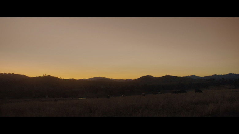 кадр из фильма With the Cattle