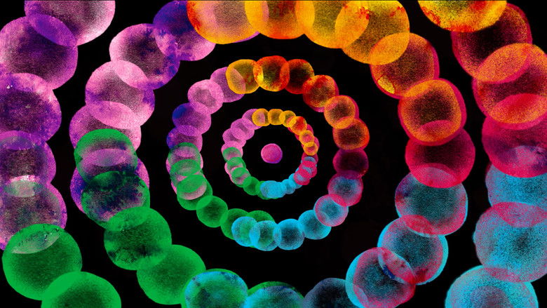 кадр из фильма Catgot