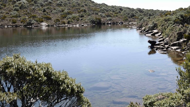 кадр из фильма The Survival of Kindness