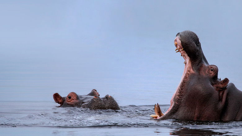 кадр из фильма The Flood