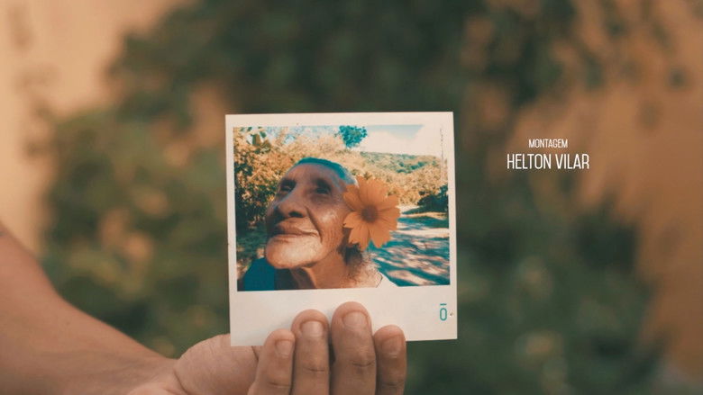 кадр из фильма Tereza e Bruno