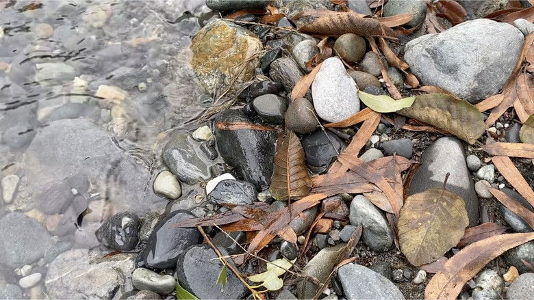 кадр из фильма Mineral Bar